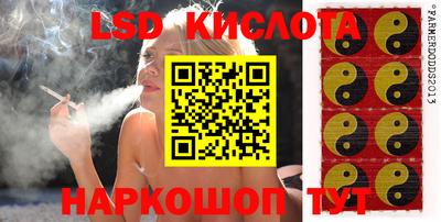 индика Чебоксары