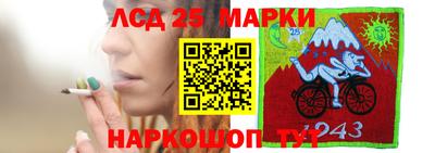 индика Чебоксары