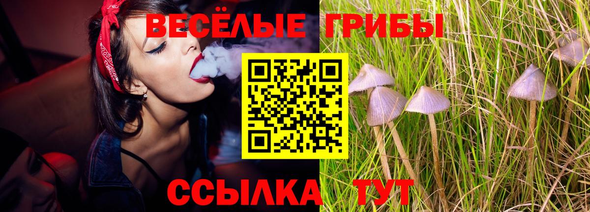 Псилоцибиновые грибы мухоморы  Вход с VPN  Борзя  Псилоцибиновые грибы ЛСД 